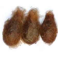 Attēlu rezultāti vaicājumam “Saturnia pavonia eggs”