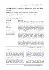 Attēlu rezultāti vaicājumam “Stemonitis pallida var. rubescens stalked”