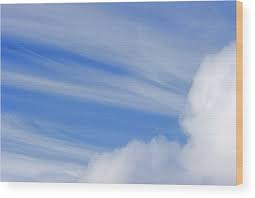 Attēlu rezultāti vaicājumam “Cirrus fibratus”