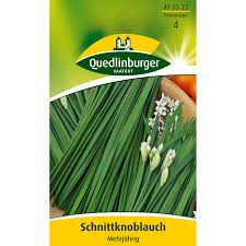 Image result for Schnittknoblauch