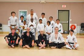 Image result for Ryusui-ryu Martial Arts School East Grinstead
