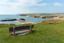 Image result for Tri-Cornwall