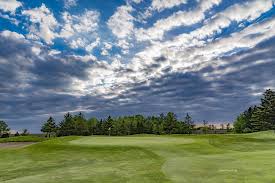 Image result for Fox Gc