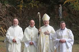 Image result for St Patrick`s Gac, Saul