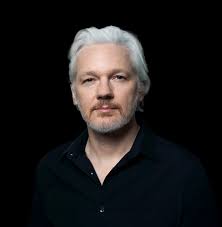 Image result for assange
