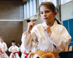 Image result for Haxby karate club