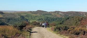 Image result for Loddon Valley Rambling Group