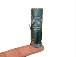 Attēlu rezultāti vaicājumam “Licea minima macro”