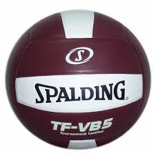 Image result for Spalding Saracens Volleyball Club