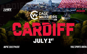 Image result for Cardiff Mma