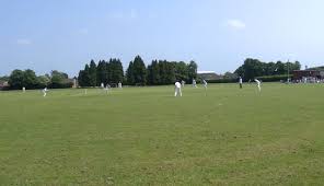 Image result for Luton Caribbean Cricket & Social Club