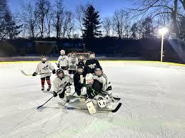 Image result for Hambro Colts Y F C