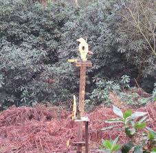 Image result for Guiseley Field Target Club GFTC