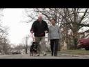 Soon, blood test may identify those likely to get Alzheimer's ...