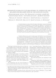 Attēlu rezultāti vaicājumam “Serpoleskea subtilis sporophyte”