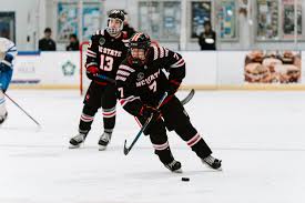 Image result for Demons Skater Hockey Club