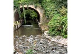 Image result for Loddon Vale Bridge Club