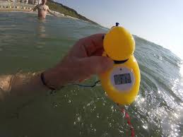 Image result for Bournemouth Spartans Winter Sea Swimming Club