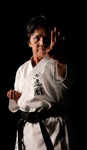 Image result for Bushin Kenpo Kai Schools