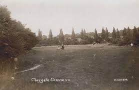 Image result for Claygate Cricket Club