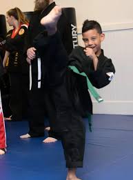 Image result for Cumming Martial Arts Center