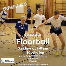Image result for Reading University Floorball Club