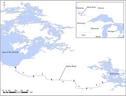 Image result for Sander canadensis/vitreus