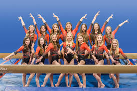 Image result for Gym Stars