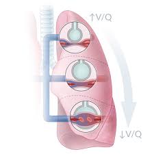 Image result for  v    q