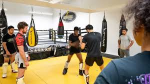 Image result for Revolution Dojo