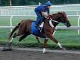 Curlin | Horse Profile | BloodHorse.