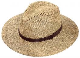 Image result for grass hat