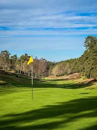 Image result for Hindhead Golf Club