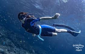 Image result for Blue Water Freediving School