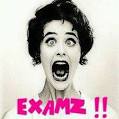 EXAAAAAM