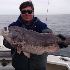 Image result for Newhaven Deep Sea Anglers