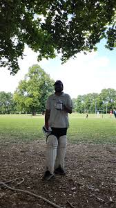 Image result for Bay Dragons CC