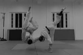 Image result for Imperial College Shorinji Kempo Society