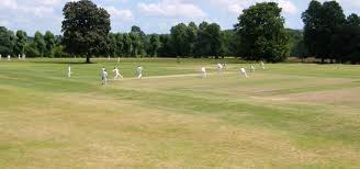 Image result for Frensham Cricket Club