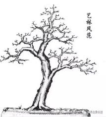 Image result for 艰苦阅历 孔泰初