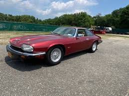 Image result for Flamenco 1993 Jaguar