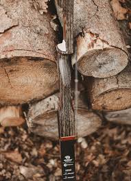 Image result for Penarth Bowmen