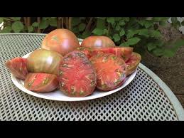 Afbeeldingsresultaat voor carbon tomato