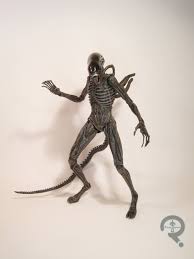 Image result for xenomorph