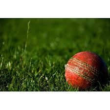Image result for Long Ditton Cc