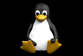 Image result for linux penguin