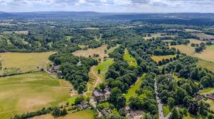 Image result for Puttenham Golf Club