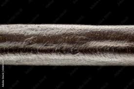 Image result for human hair microscope image