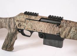 Image result for Winchester Home Guard Rifle & Pistol Club