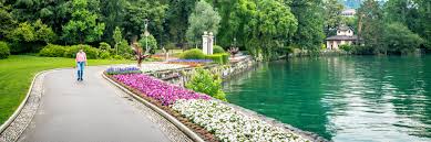 Image result for "Parco Ciani"